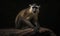 photo of diana monkey on black background. Generative AI