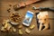 Photo of the dog in the smartphone - dog food - collar and leash