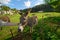 Photo of donkey rural landscape. Girls hand caressing a donkey face