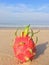 Photo Dragon fruit on the background of the sea on the beach in Thailand