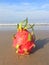 Photo Dragon fruit on the background of the sea on the beach in Thailand