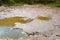 Photo of a Dried-up pond with green grass around the edges. Climate change, ecological catastrophe of the Earth, death of plants a