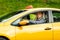 Photo of driver man in plaid shirt sitting in yellow taxi on summer.