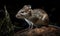 photo of elephant shrew on black background. Generative AI