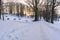 Photo of an Empty Walkway in Park in Alley on Sunny Winter Evening