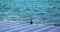 Photo of the endless blue sea with a pier