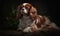 photo of English toy spaniel on dark background. Generative AI