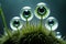 Photo of eye iris water drop green world
