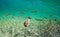 Photo of fishes and duck swimming in a lake, taken in the national park Plitvice, Croatia