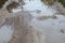 Photo of a fragment of a destroyed road with large puddles in rainy weathe