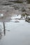 Photo of a fragment of a destroyed road with large puddles in rainy weather