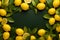 Photo frame composed of lemons, a vibrant, minimalist masterpiece