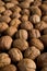 Photo of fresh walnuts