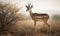 photo of gazelle in its natural habitat. Generative AI