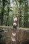 photo of a girl in the reflection of a puddle, in the forest