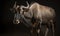 photo of gnu Connochaetes on black background. Generative AI