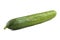 Photo of green ripen cucumber