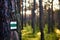 Photo of green tourist sign or mark on tree bark in forest