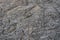 Photo of the grey chipboard texture in close view