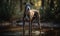 photo of Greyhound standing in river with forest in the background. Generative AI