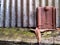 Photo of a group of outdoor objects and dry leaves.