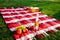 Photo of guitar, fruit, champagne and stemwares on plaid in park.