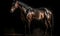 photo of Hackney show horse on black background. Generative AI