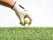 Photo of a hand Placing yellow golf ball artificial grass with white background