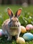Photo Of Happy Easter! Eastern Cute Easter Bunny Meadow, Rabbit, Grass, Nature, Easter Eggs, Ostern, Eastern Decora. Generative AI