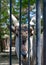 Photo of a head   of a antelope through cage. Selective focus.  He is looking at the photographer. The weather is sunny in a zoo