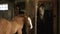 Photo of a horse with a foal in an old stall