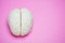 Photo of the human brain over pink background