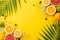 Photo of juicy oranges, lemons, limes, and grapefruits, accompanied by palm leaves on a sunny yellow background