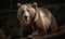 photo of Kodiak bear in its natural habitat. Generative AI