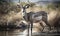 photo of kudu antelope standing on the edge of a river. Generative AI