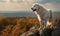 Photo of kuvasz dog majestically standing atop a rocky outcropping overlooking a sprawling pastoral landscape. image showcases