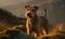 Photo of Lakeland terrier captured amidst rugged terrain of the Lake District. Terrier stands alert ready to spring into action