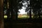 Photo landscape of a dark park