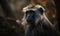 photo of langur on blurry forest background. Generative AI