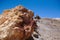 Photo of a large stone, hardened lava in the mountains, in the desert, sunny day, blue sky, texture