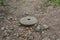 Photo of a large stone millstone from the mill