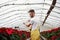 Photo from the left, watering plants. Portrait of beautiful young guy in the hothouse taking care of flowers