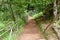 Photo of levada path in Madeira Island