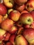 Photo lots of apples on the counter supermarket