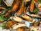 Photo of a macro background of many mussels