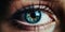 Photo of macro shot detail beautiful female blue eye