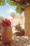 Photo made in Greece. Pergola of grapes in the patio Greece Crete