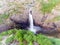 Photo of Manafossen waterfall in Norway. Aerial shot. Top view.