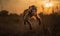 photo of mangabey jumping in tall grass at sunset. Generative AI