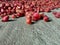 The photo of many red shallot.